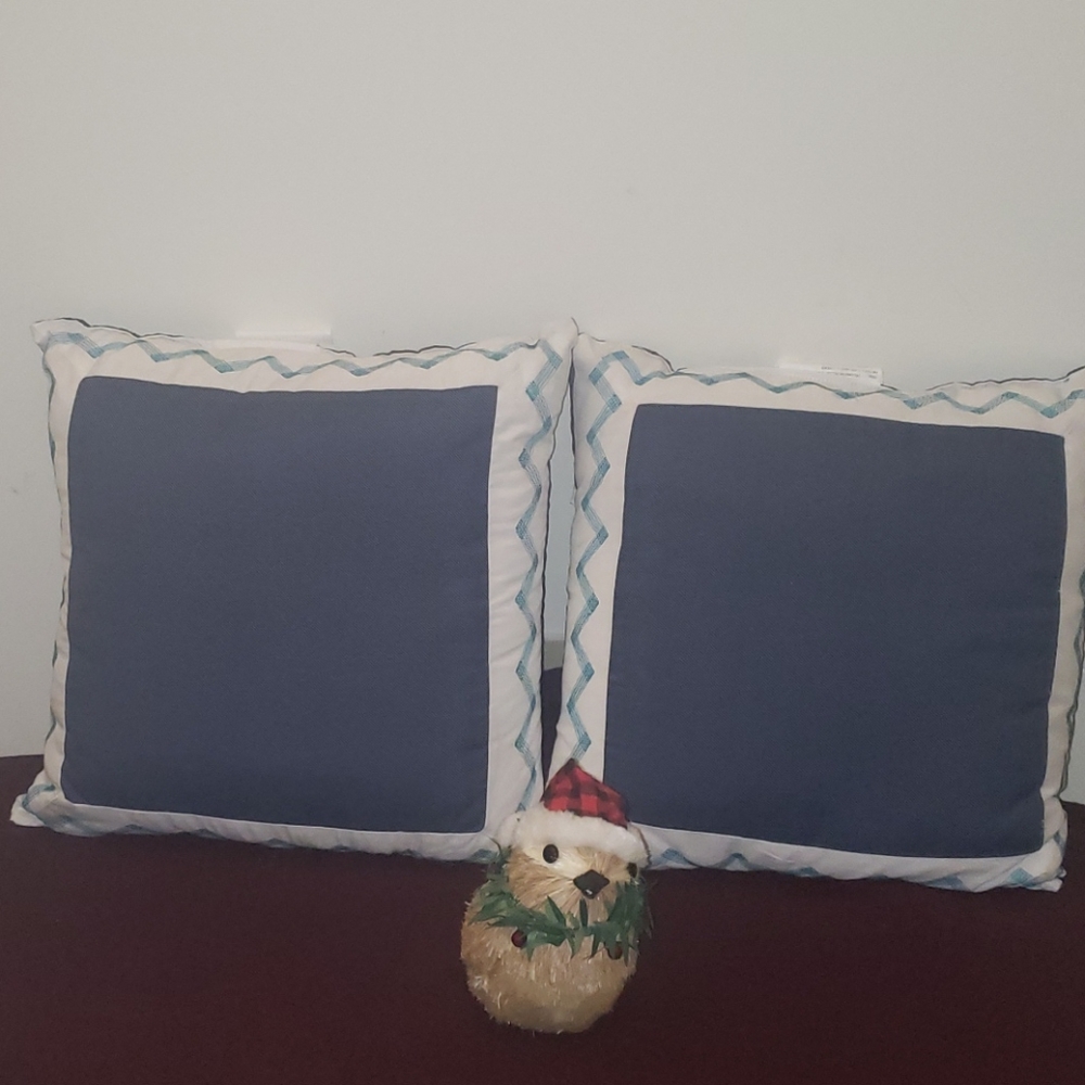 2  New Pillows